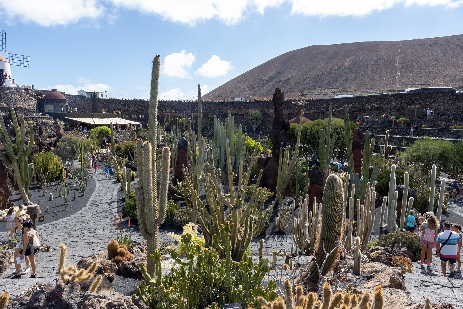 Il Jardín de Cactus di Lanzarote tra terrazze di pietra vulcanica e cactus